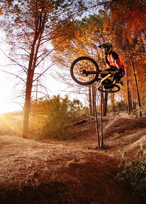 Mountainbike downhill